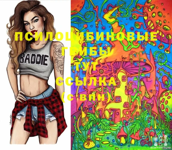не бодяженный Аркадак