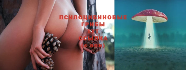 стафф Армянск