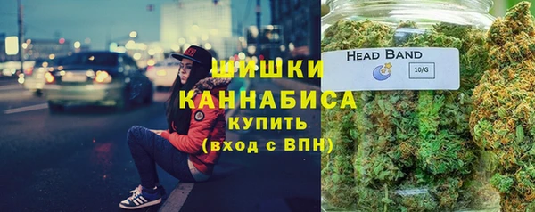 Альфа ПВП Арсеньев