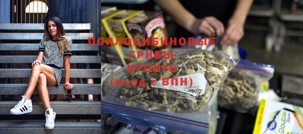 Альфа ПВП Арсеньев