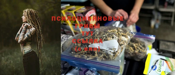 стафф Армянск