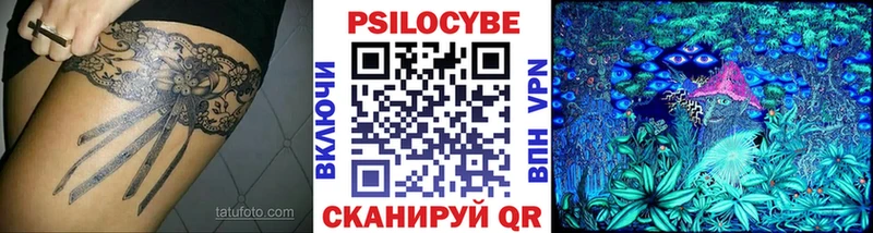 Галлюциногенные грибы Psilocybe  hydra вход  Северобайкальск  что такое  